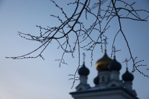 Владыка Григорий возглавил праздник Введения во Храм Пресвятой Богородицы