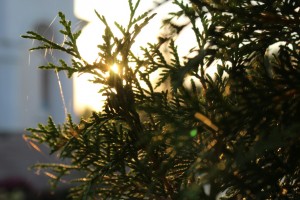 Успение Пресвятой Владычицы нашей Богородицы и Приснодевы Марии, 