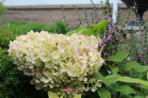 Всенощное бдение, Ранняя и Поздняя Божественные Литургии 22.08-23.08.2020, 