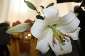 Ранняя Божественная Литургия 16.08.2020, 