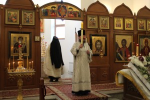 Всенощное бдение и Литургия 15.02-16.02.2020, 