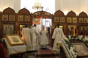 Всенощное бдение и Литургия 15.02-16.02.2020, 