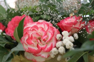 Божественная Литургия 21.07.2020, 