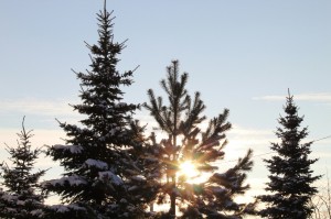 Всенощное бдение, Ранняя и Поздняя Божественные Литургии 16-17.01.2021, 