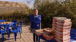 День знаний, 