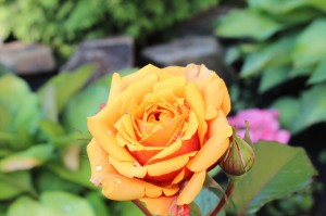 Божественная Литургия 07.07.2020, 